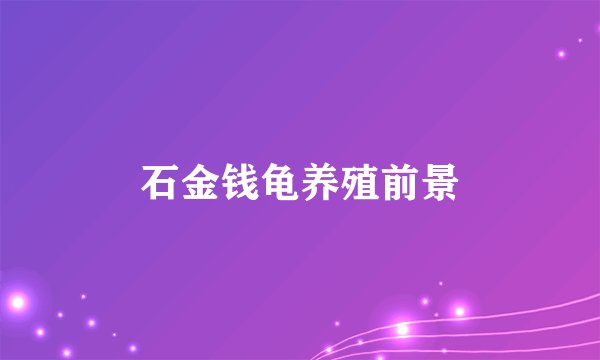 石金钱龟养殖前景