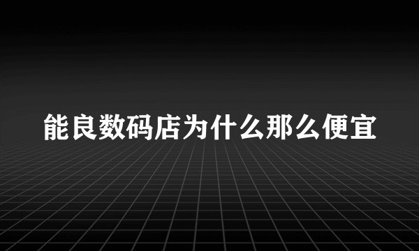 能良数码店为什么那么便宜