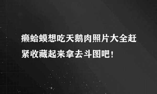 癞蛤蟆想吃天鹅肉照片大全赶紧收藏起来拿去斗图吧！