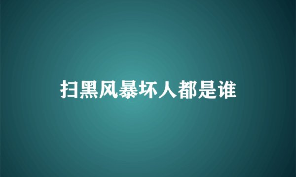 扫黑风暴坏人都是谁