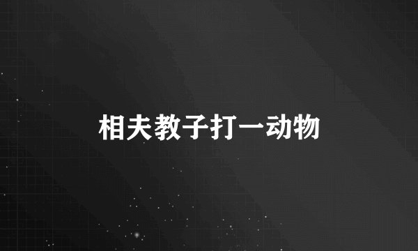 相夫教子打一动物