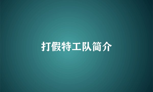 打假特工队简介