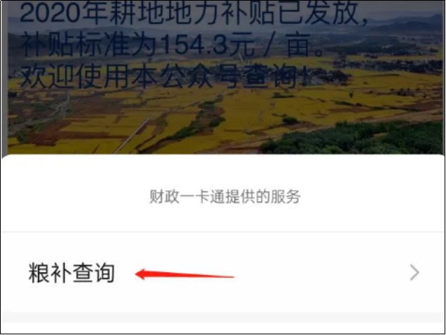 2023年粮食补贴查询