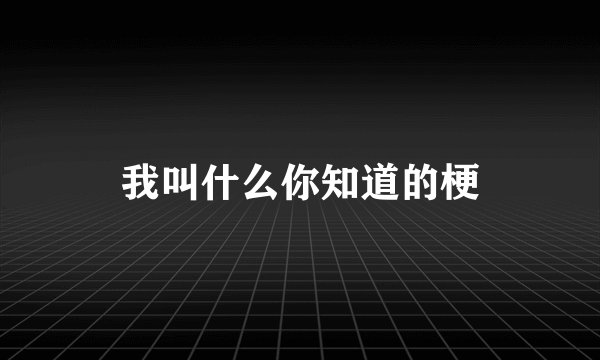 我叫什么你知道的梗