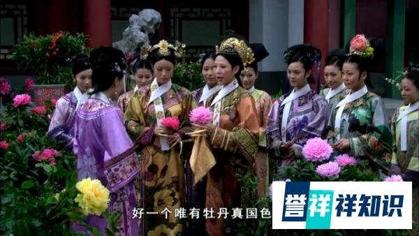 甄嬛传：如果后宫嫔妃是一个班，她们的职务怎么分配更有趣？