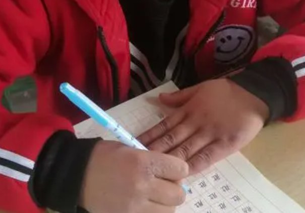 认真学习的句子