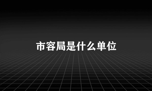 市容局是什么单位