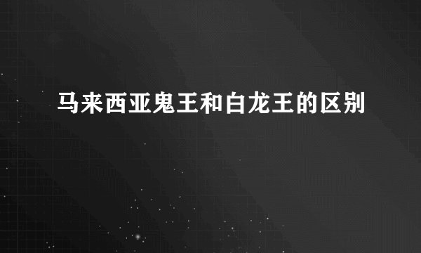 马来西亚鬼王和白龙王的区别
