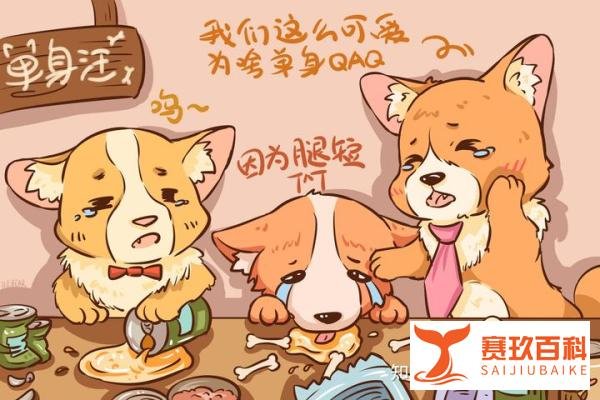 中国单身潮的来袭，你懂背后的“单身经济学”吗？