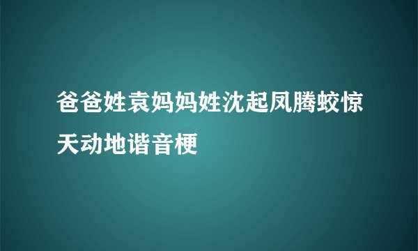 爸爸姓袁妈妈姓沈起凤腾蛟惊天动地谐音梗