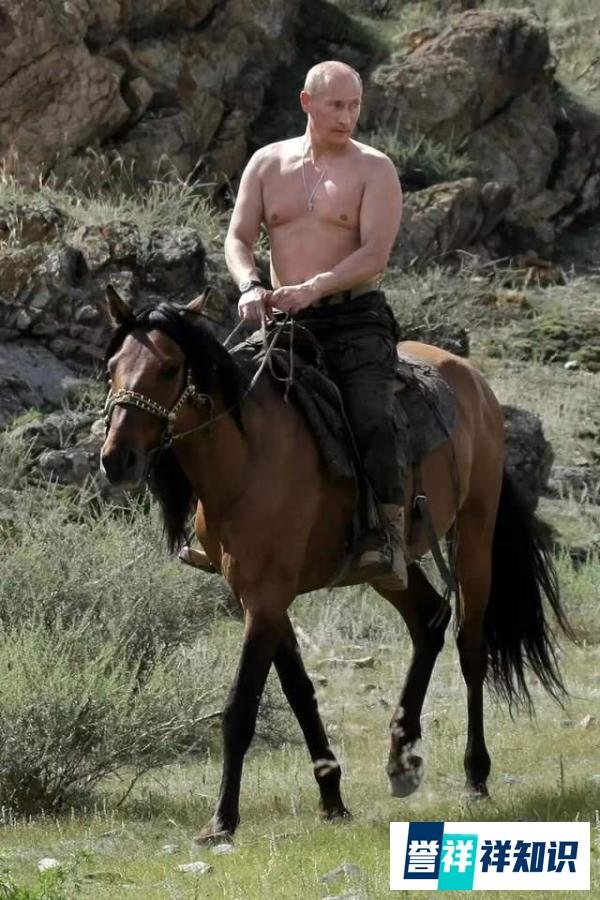 西方政客无聊，G7峰会上英国首相想脱光了比肌肉，普京说我想吐