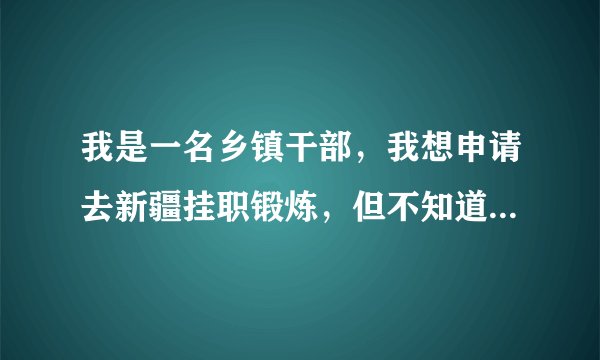 我是一名乡镇干部，我想申请去新疆挂职锻炼，但不知道怎样去，该办些什么手续？