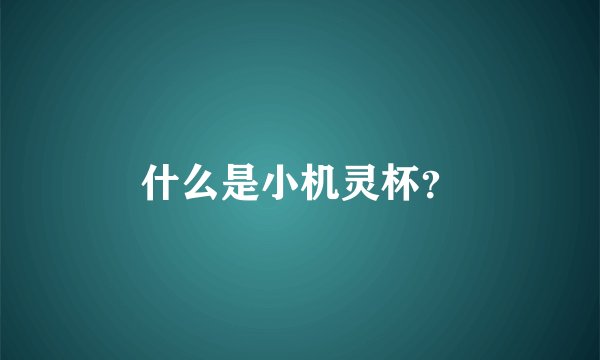 什么是小机灵杯？