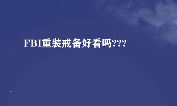 FBI重装戒备好看吗???