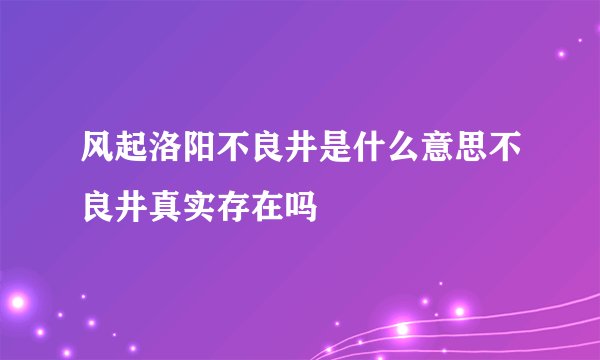 风起洛阳不良井是什么意思不良井真实存在吗