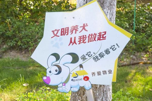 武汉女子因“遛狗冲突”坠亡，辱骂者已搬离小区，他们这是想要逃避责任吗？