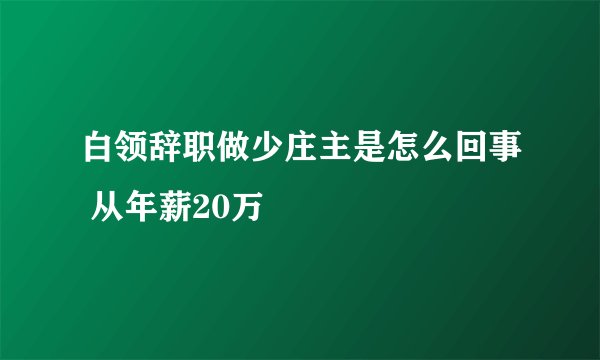 白领辞职做少庄主是怎么回事 从年薪20万
