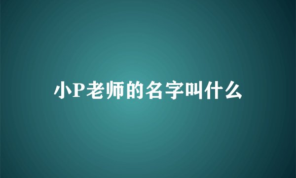 小P老师的名字叫什么