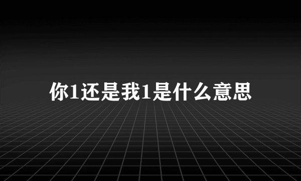 你1还是我1是什么意思