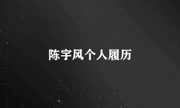 陈宇风个人履历