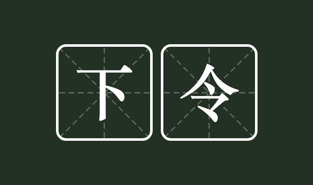 下令是什么意思