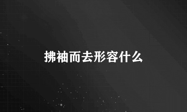 拂袖而去形容什么