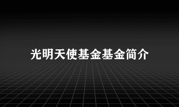 光明天使基金基金简介