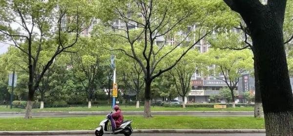 江阴枪击案迎来最新后续，推翻了所有人的猜测，只是一起持枪劫财