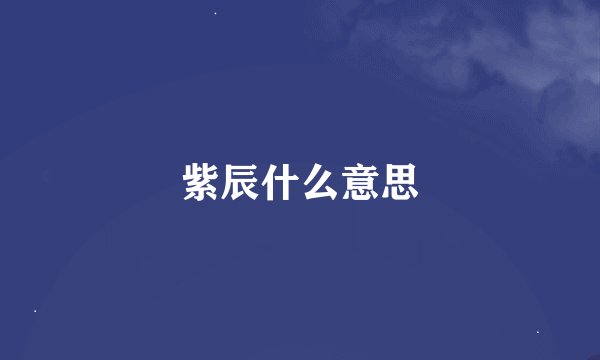 紫辰什么意思