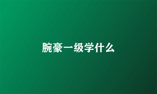 腕豪一级学什么