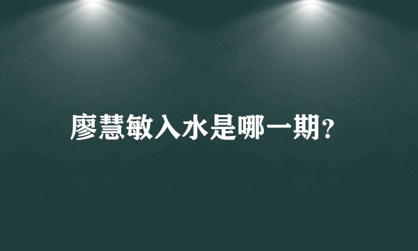 廖慧敏入水是哪一期？