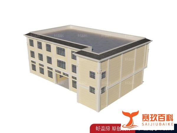 新农村住宅设计与施工