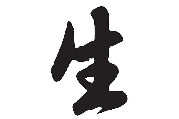 两头牛打一字