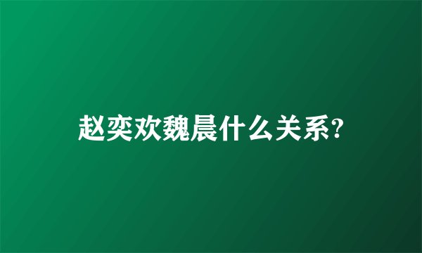 赵奕欢魏晨什么关系?