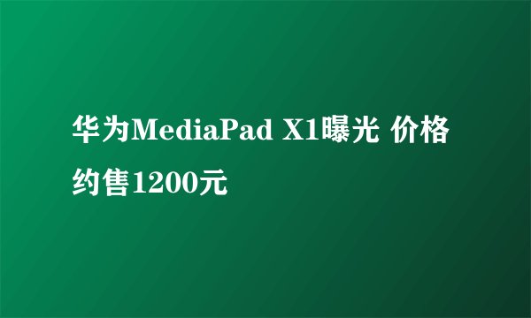 华为MediaPad X1曝光 价格约售1200元