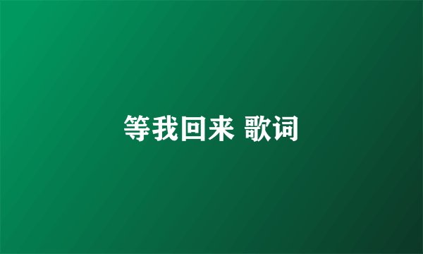 等我回来 歌词