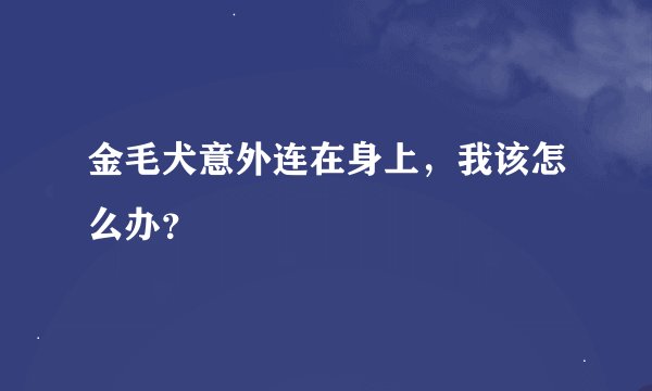 金毛犬意外连在身上，我该怎么办？