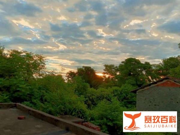 爱它,燃烧它,成为它