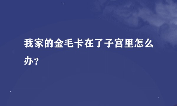 我家的金毛卡在了子宫里怎么办?