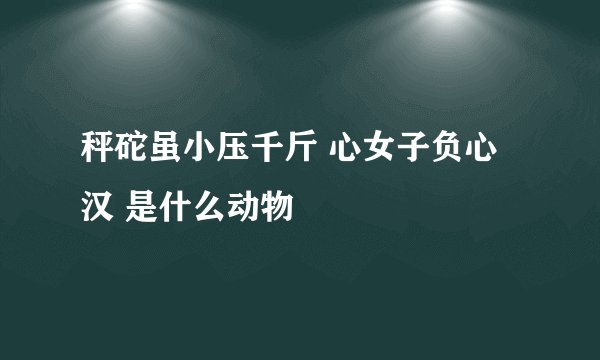 秤砣虽小压千斤 心女子负心汉 是什么动物
