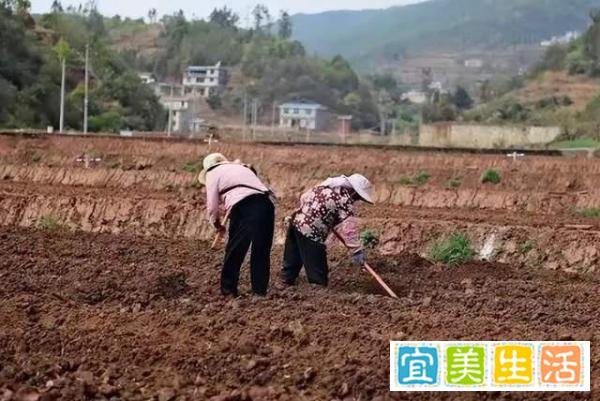 当初那个高考故意交白卷的“0分女孩”，17年过后，现状令人惋惜