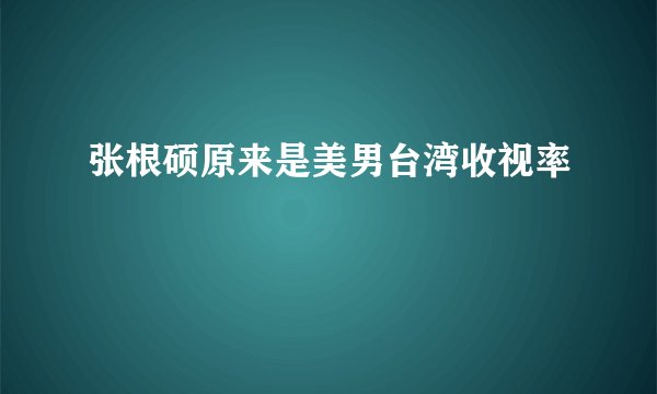 张根硕原来是美男台湾收视率