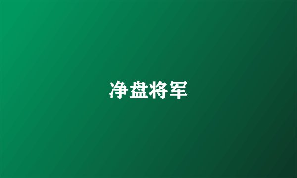 净盘将军
