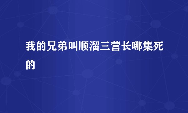 我的兄弟叫顺溜三营长哪集死的