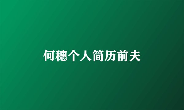 何穗个人简历前夫