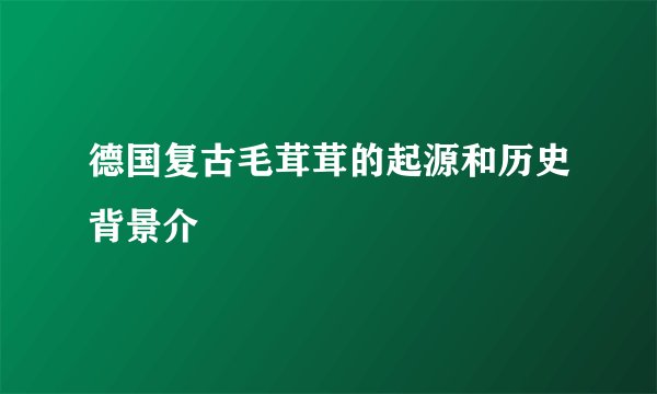德国复古毛茸茸的起源和历史背景介