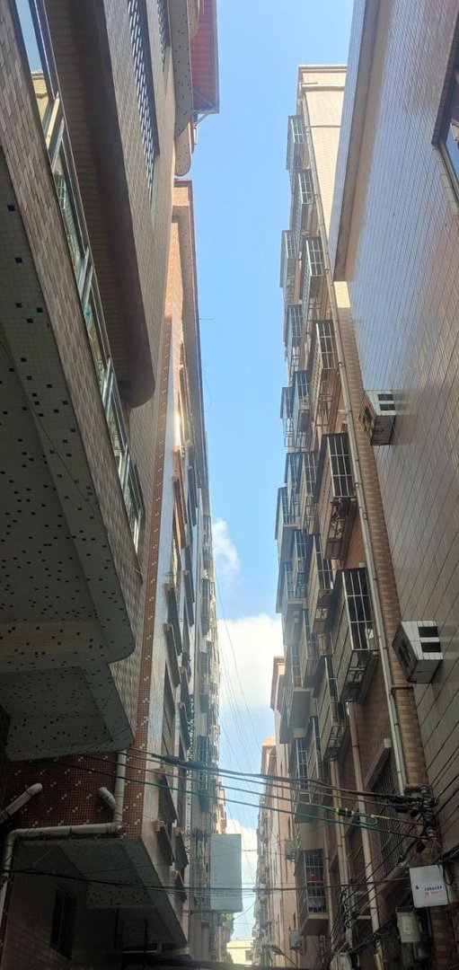 什么是哲思?