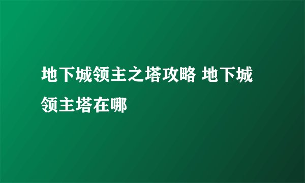 地下城领主之塔攻略 地下城领主塔在哪