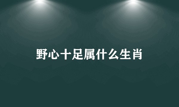 野心十足属什么生肖