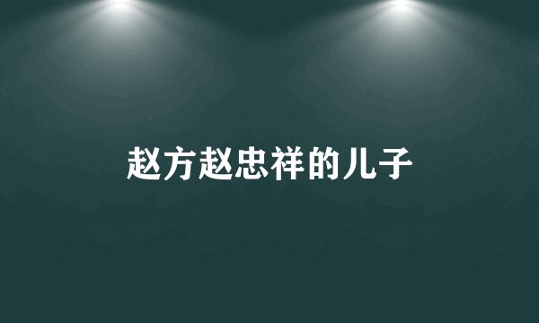 赵方赵忠祥的儿子